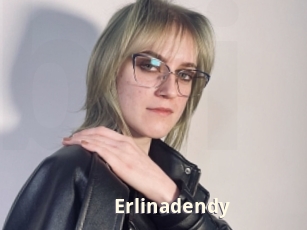 Erlinadendy