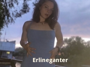 Erlineganter