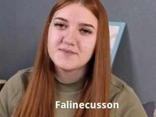 Falinecusson