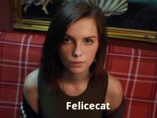 Felicecat