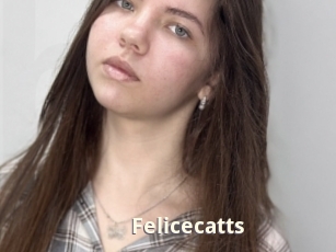 Felicecatts