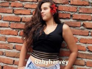 Gabyharvey