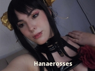 Hanaerosses