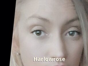Harlowrose