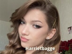 Harrietbagge