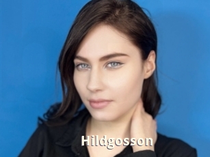 Hildgosson
