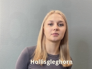 Hollisgleghorn