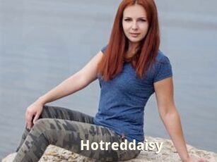 Hotreddaisy