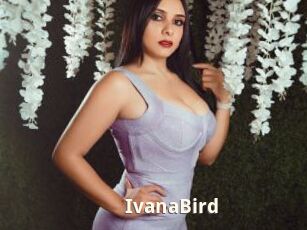 IvanaBird