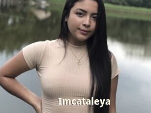 Imcataleya