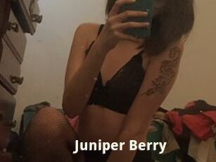 Juniper_Berry