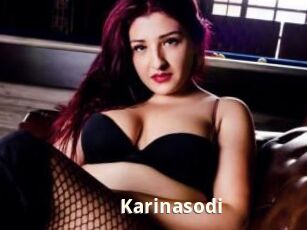 Karinasodi