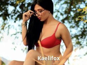 Kaelifox