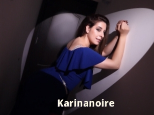 Karinanoire