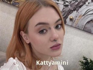 Kattyamini