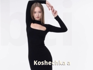 Koshechka_a