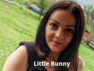 Little_Bunny_