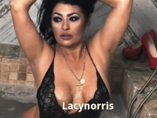 Lacynorris