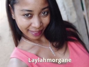 Laylahmorgane