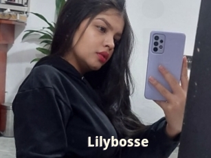 Lilybosse