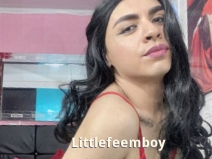 Littlefeemboy
