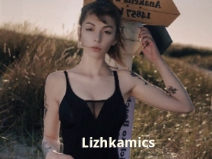 Lizhkamics