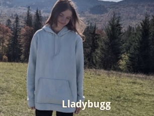 Lladybugg