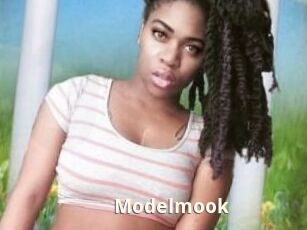 Modelmook