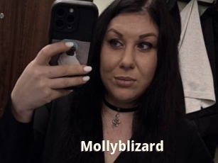 Mollyblizard