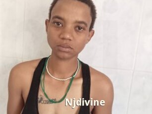 Njdivine