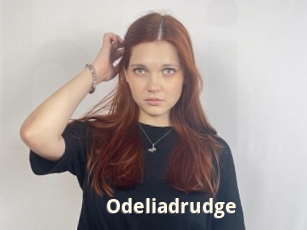 Odeliadrudge