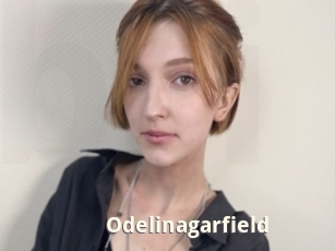 Odelinagarfield