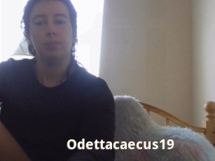 Odettacaecus19