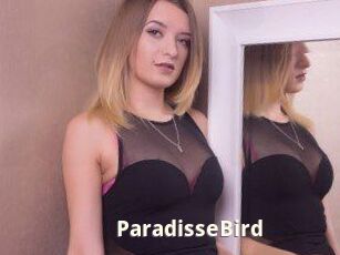 ParadisseBird