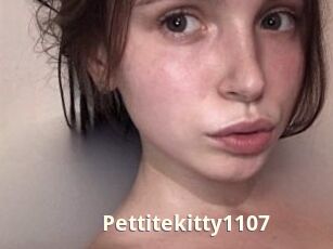 Pettitekitty1107