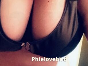 Phielovebird