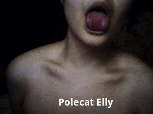 Polecat_Elly