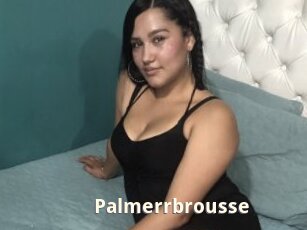 Palmerrbrousse