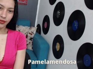 Pamelamendosa