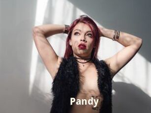 Pandy