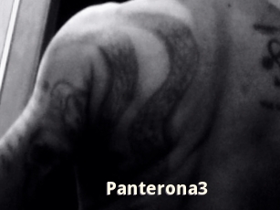 Panterona3