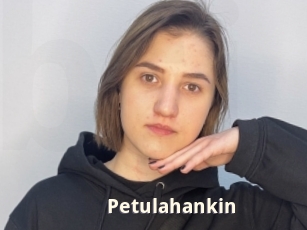 Petulahankin