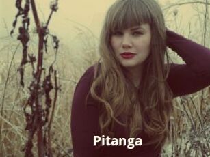 Pitanga