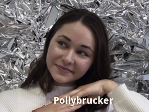 Pollybrucker