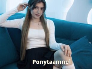 Ponytaamnel