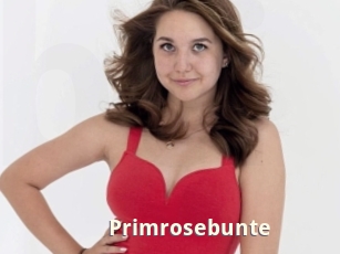 Primrosebunte
