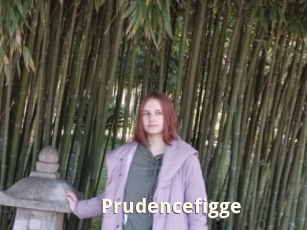 Prudencefigge