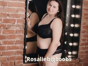 Rosaliebigboobs