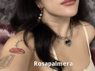 Rosapalmera