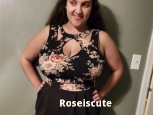 Roseiscute